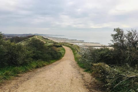 Region [summer] (&gt;5 km)