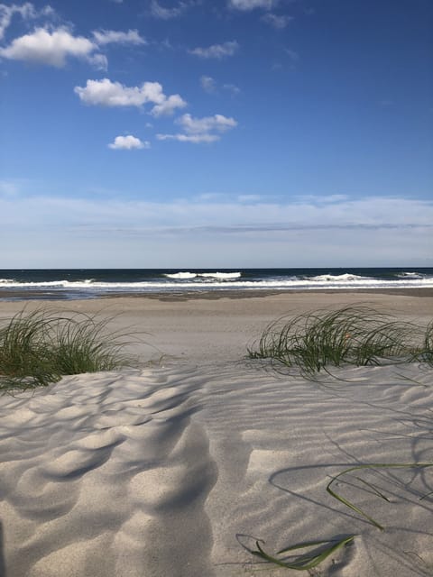 Beach | Beach towels