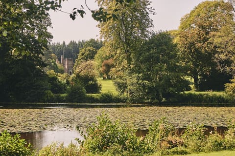 The lake overlooking the estate grounds at Kingfisher Cottage, Welsh Borders