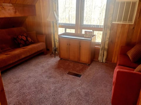 The Loft- Futon and Pullout loveseat