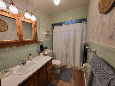 Combined shower/tub, hair dryer, towels, soap