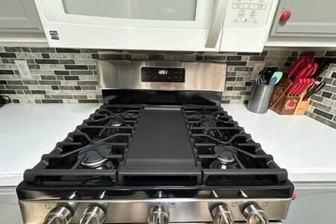 Stove with a griddle