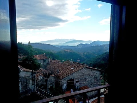 A room with a view.......