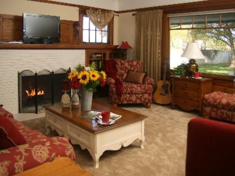 TV, fireplace, DVD player