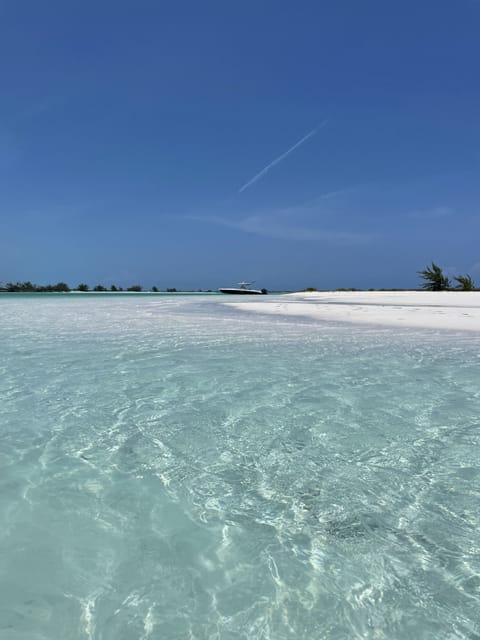 Beach nearby, sun loungers, beach towels