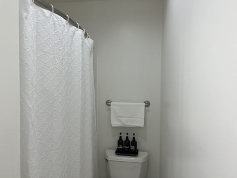 Combined shower/tub, hair dryer, towels, soap