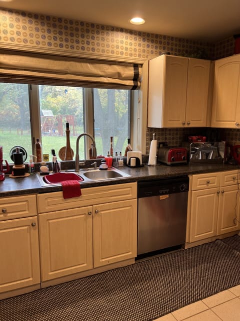 Just rinse your dishes and ready them for the dishwasher. That’s me.😉