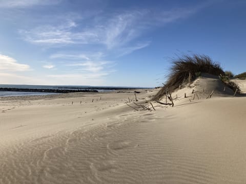 On the beach