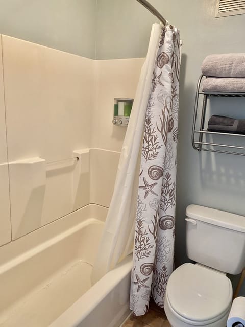 Combined shower/tub, hair dryer, towels, soap