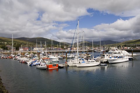 Dingle Marina County Kerry John Hession