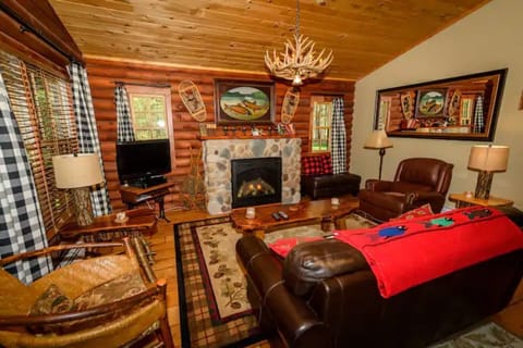 TV, fireplace, books