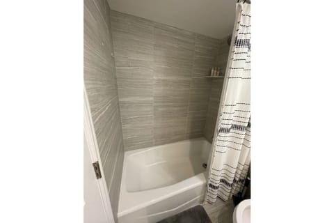 Combined shower/tub, hair dryer, towels, soap