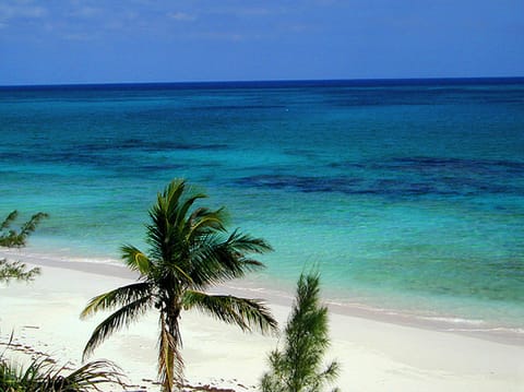 On the beach, sun loungers, beach towels