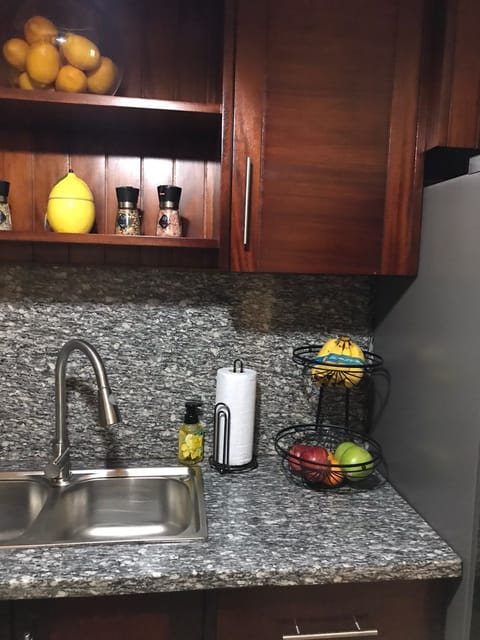 Fridge, microwave, oven, cookware/dishes/utensils