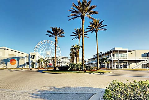 The Wharf..Shopping, movies, dining, escape room, ropes course, carrousel, more!
