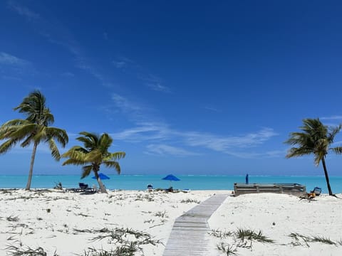 Beach nearby, sun loungers, beach towels