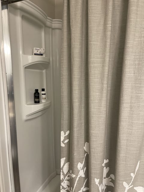 Combined shower/tub, hair dryer, towels, soap