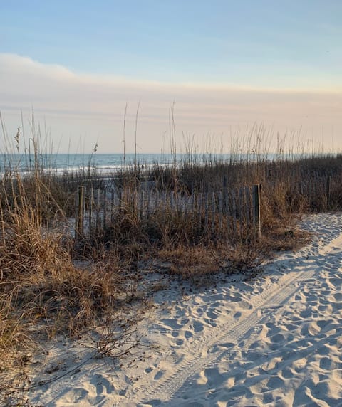 Beach nearby, sun loungers, beach towels