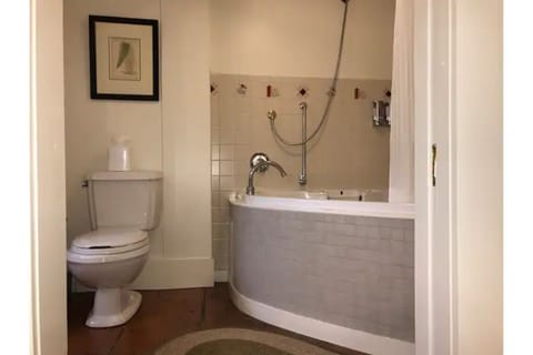 Combined shower/tub, jetted tub, hair dryer, towels