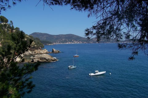 Surroundings [summer] (1-5 km)