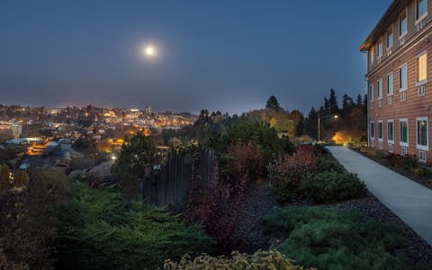 View from the property