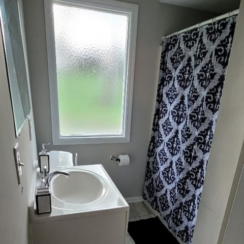 Combined shower/tub, hair dryer, towels