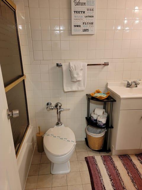 Combined shower/tub, hair dryer, towels, soap