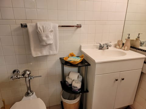 Combined shower/tub, hair dryer, towels, soap