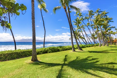 Beach nearby, sun loungers, beach towels