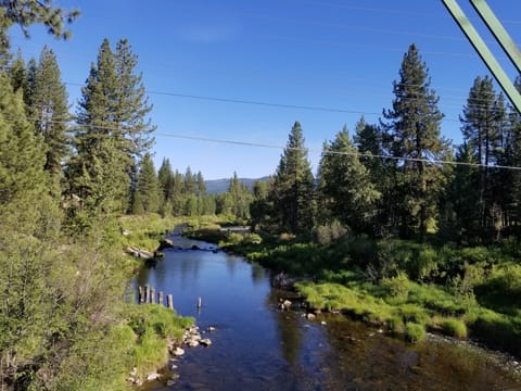 Graeagle stream