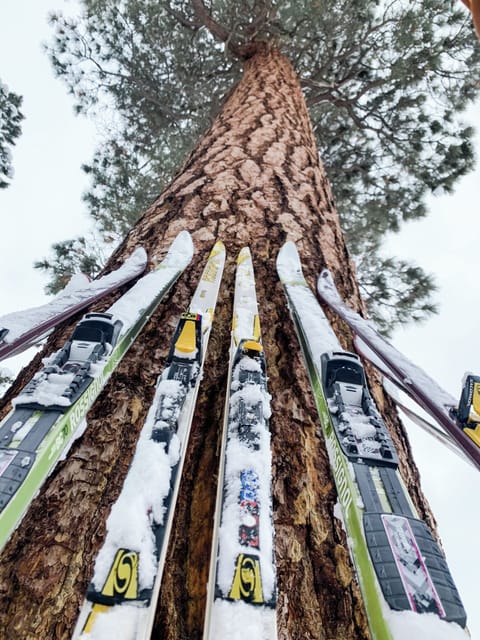 Snow and ski sports