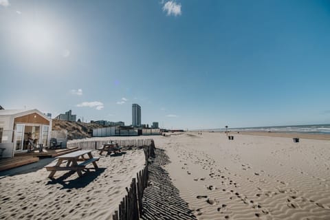 On the beach