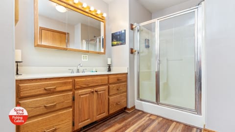 Shower, jetted tub, hair dryer, towels