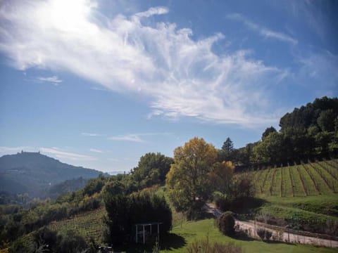 Region [summer] (>5 km)