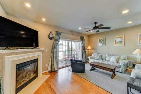 TV, fireplace, books