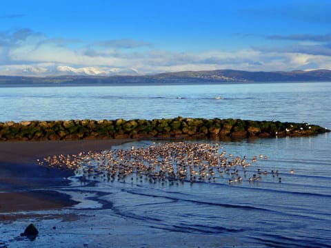 Fabulous views from the Promenade, across the Morecambe Bay