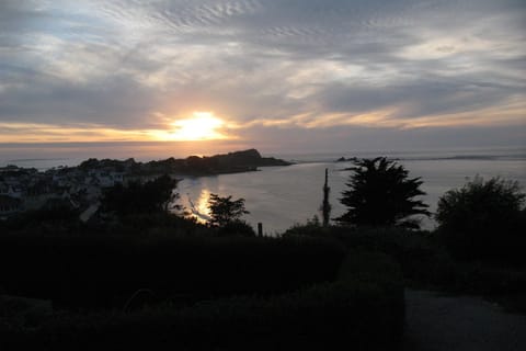 Immediate Surroundings [summer] (<1 km)