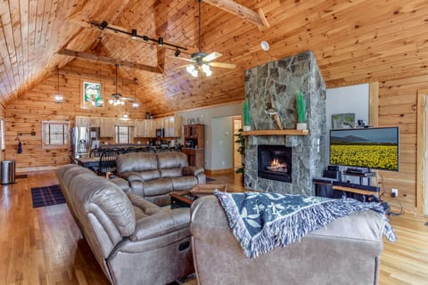 TV, fireplace, books