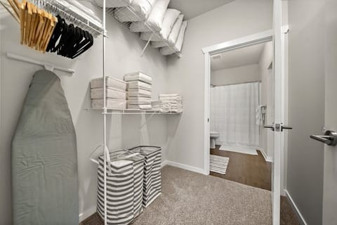 Combined shower/tub, hair dryer, towels