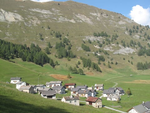 Table, Plant, Tableware, Furniture, Sky, Property, Chair, Outdoor Furniture, Outdoor Table, Interior Design