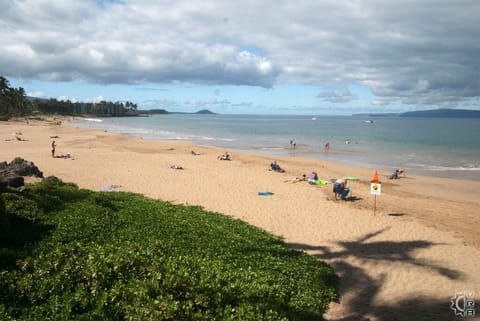 Beach nearby, sun loungers, beach towels