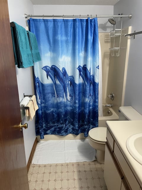 Combined shower/tub, towels, toilet paper