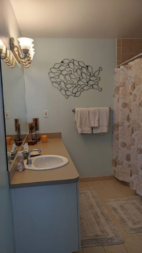 Combined shower/tub, jetted tub, hair dryer, bidet