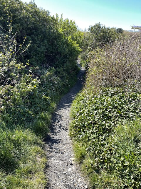 Follow the mostly flat, well maintained trail.