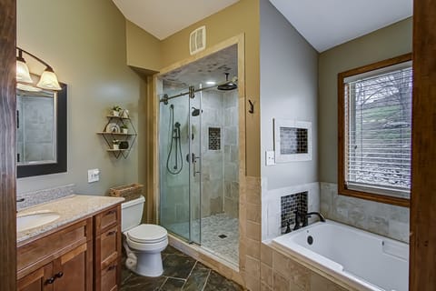 Combined shower/tub, hair dryer, soap