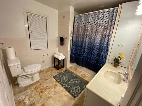 Combined shower/tub, hair dryer, towels, soap