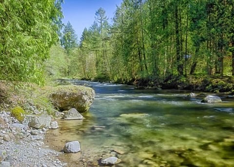 Dream Catcher Cabin-Salmon River