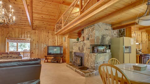 TV, fireplace, books