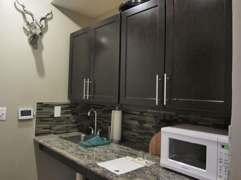 2nd type of larger kitchenette