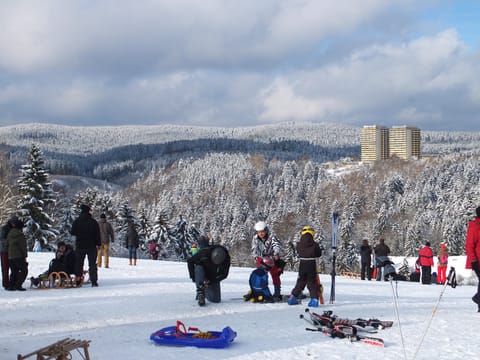 Snow and ski sports